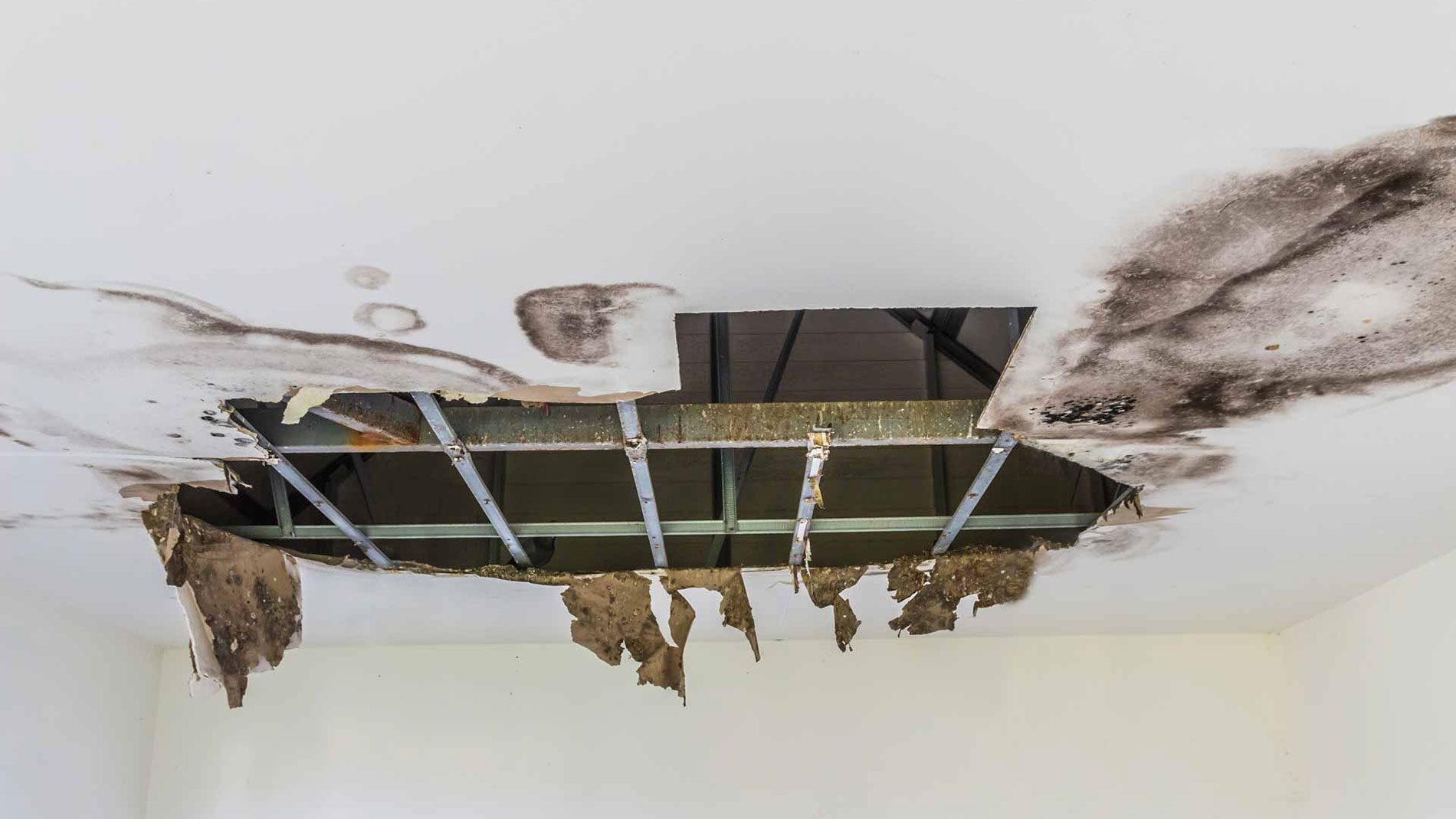 roof and ceiling leak water damage repair in Storm Lake IA